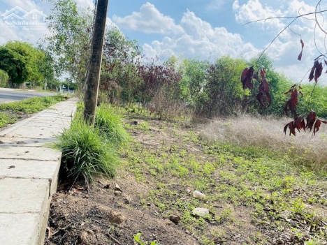 Bán lô đất đường Số 20 Tam Phước - Long Điền - Bà Rịa Vũng Tàu diện tích 40x53m sẵn 150tc