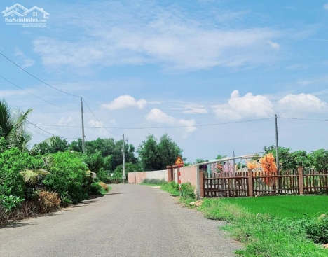 Bán đất xã Long Tân - Đất Đỏ.BR-VT - Diện tích : 1000m2 ngang 21m nở Hậu - Đất trồng cây lâu năm  Mặ