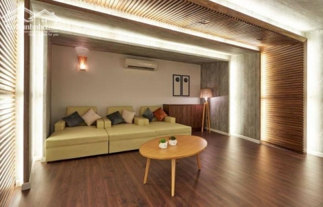 Chính chủ bán gấp Biệt thự mặt tiền Nguyễn Hữu Thọ