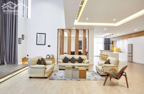 Chính chủ bán gấp Biệt thự mặt tiền Nguyễn Hữu Thọ