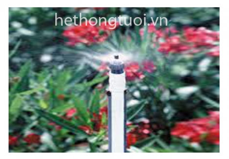 Đại lý tưới phun sương tại hà nội, tưới nông nghiệp công nghệ cao, tưới nông nghiệp cho vườn cây