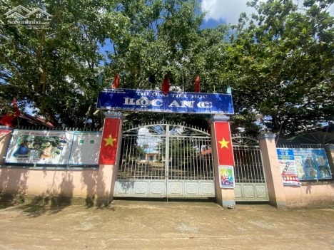 Đất nghỉ dưỡng khu vực Lâm Đồng full thổ cư tại Lộc An