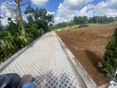 Đất nghỉ dưỡng khu vực Lâm Đồng full thổ cư tại Lộc An