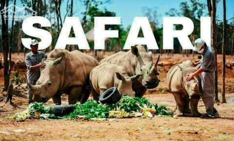 Bán 2 lô đất ngay cạnh khu Safari, trang trại dưa lưới, đường dự phóng đi sân bay chỉ 538 triệu