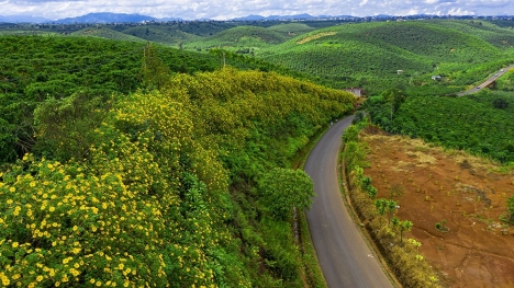 Đất view đẹp ngay sông Đại Nga, cao tốc Bảo Lộc Dầu Dây- Liên Khương