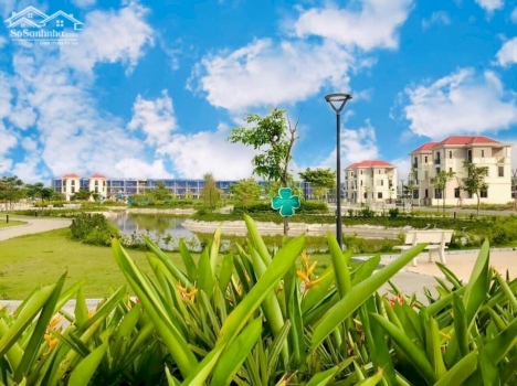 Chính chủ cần ra hàng F1