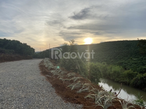 Đất view đẹp ngay sông Đại Nga, cao tốc Bảo Lộc Dầu Dây- Liên Khương