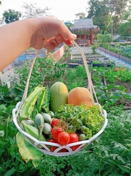 Đất view đẹp ngay sông Đại Nga, cao tốc Bảo Lộc Dầu Dây- Liên Khương