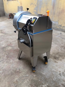 Máy thái rau củ quả đa năng 0983278686 fgd5
