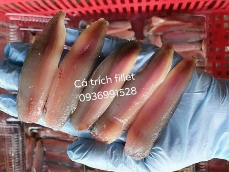 Nơi bán cá trích trứng ngon bổ