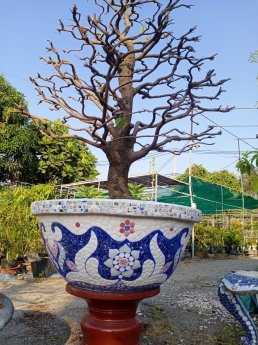 Chậu hoa - chậu trồng cây - chậu hoa công trình - chậu lam theo yêu cầu kích cỡvb