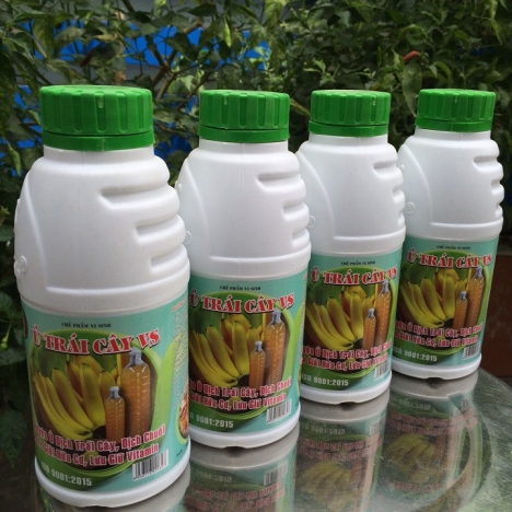 Ủ TRÁI CÂY VS - Phân Giải Hữu Cơ, Lưu Giữ Vitamin _ Chai 500ml