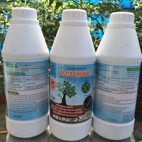 PSEUDOMONAS: ĐỐI KHÁNG VI KHUẨN - PHÒNG NGỪA BỆNH CH.Ế.T NHANH, CH.Ế.T CHẬM, XÌ MỦ, HÉO XANH