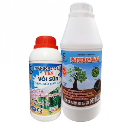 PSEUDOMONAS: ĐỐI KHÁNG VI KHUẨN - PHÒNG NGỪA BỆNH CH.Ế.T NHANH, CH.Ế.T CHẬM, XÌ MỦ, HÉO XANH