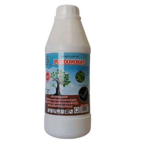 PSEUDOMONAS: ĐỐI KHÁNG VI KHUẨN - PHÒNG NGỪA BỆNH CH.Ế.T NHANH, CH.Ế.T CHẬM, XÌ MỦ, HÉO XANH