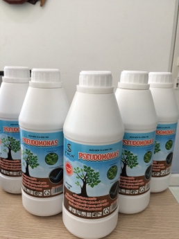PSEUDOMONAS: ĐỐI KHÁNG VI KHUẨN - PHÒNG NGỪA BỆNH CH.Ế.T NHANH, CH.Ế.T CHẬM, XÌ MỦ, HÉO XANH
