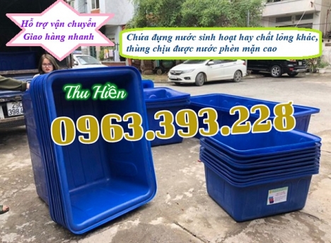 Thùng nhựa hình chữ nhật, thùng dung tích lớn, thùng nhựa cao cấp, thùng nuôi cá