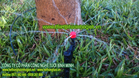 tưới nhỏ giọt ở hải phòng, tưới nhỏ giọt tiết kiệm nước, nhỏ giọt 8 tia,nhỏ giọt quấn quanh gốc.