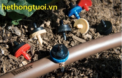 tưới nhỏ giọt ở hải phòng, tưới nhỏ giọt tiết kiệm nước, nhỏ giọt 8 tia,nhỏ giọt quấn quanh gốc.