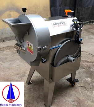 Máy thái rau củ quả dạng lát dạng sợi dạng hạt lựu 0982811839 dfg126