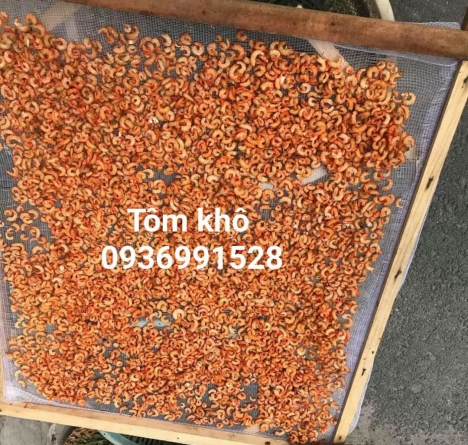 Địa chỉ bán tôm Quảng Ninh giá tốt