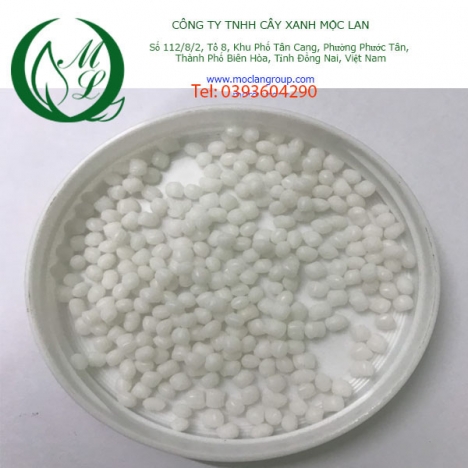 Hạt nhựa TPE/TPR nguyên sinh