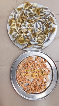 Địa chỉ bán tôm Quảng Ninh giá tốt