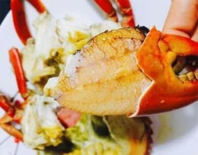 Nơi bán cua biển tươi ngon Quảng Ninh