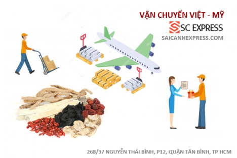 Gửi các loại thuốc Đông Y đi Mỹ