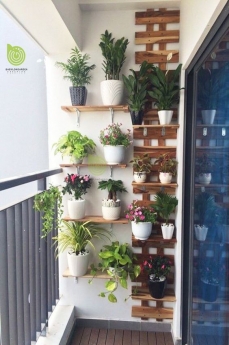Bảng giá căn hộ Ecolife Quy Nhơn tháng 7/2021 lh 0978.65.75.89