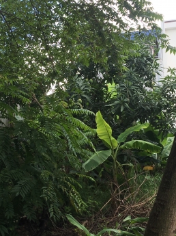 cần bán nhanh lô đất 125m2, bìa đỏ tại Vĩnh Khê, An Đồng, An Dương, Hải Phòng