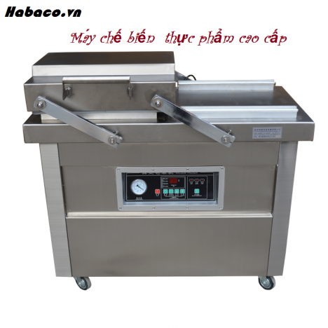 Máy hút chân không hai buồng DZ 400 0982811839 fg2g62