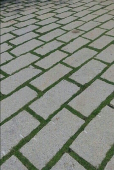 Đá Vũng Tàu lát lối đi