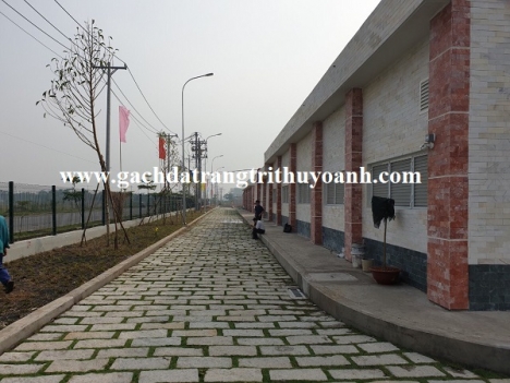 Đá Vũng Tàu lát lối đi