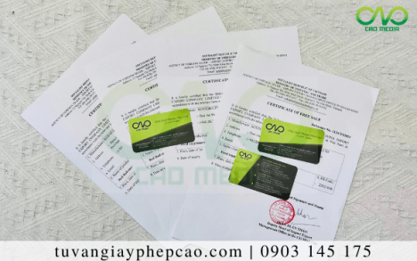 Bánh trung thu tiramisu và thủ tục xin giấy chứng nhận lưu hành tự do