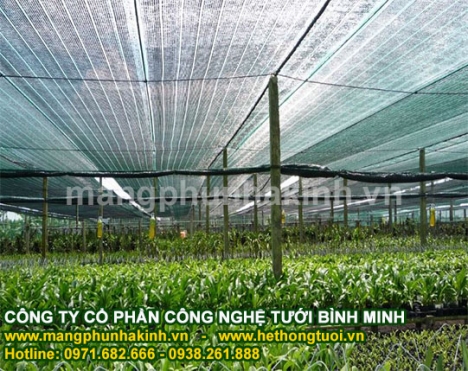 Nắng và câu chuyện lưới che nắng, lưới che giảm nắng, thi công lưới che nắng thái lan