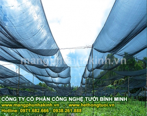 Nắng và câu chuyện lưới che nắng, lưới che giảm nắng, thi công lưới che nắng thái lan