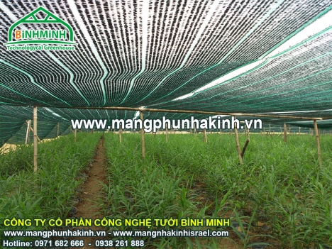 Nắng và câu chuyện lưới che nắng, lưới che giảm nắng, thi công lưới che nắng thái lan