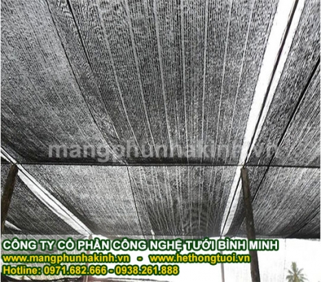 Nắng và câu chuyện lưới che nắng, lưới che giảm nắng, thi công lưới che nắng thái lan