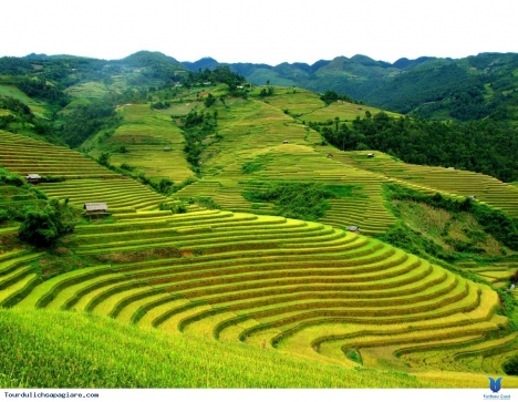 Bán mảnh đất view bao trọn thung lũng ruộng bậc thang Thề Pả, khu du lịch 4 mùa Y Tý