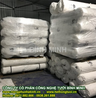Phát triển mô hình nông nghiệp công nghệ cao đầu tiên ở huyện Quảng Ninh