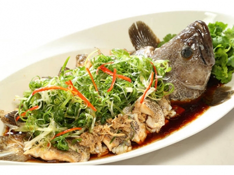 Nơi bán cá mú đỏ quý giá tốt tai hà nội