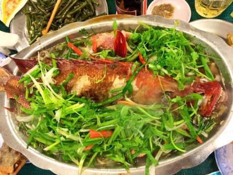 Nơi bán cá mú đỏ quý giá tốt tai hà nội