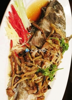 Nơi bán cá mú đỏ quý giá tốt tai hà nội