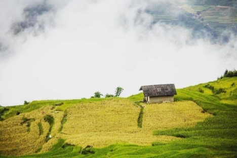 Bán đất gần trung tâm hành chính huyện, vị trí đẹp nhất khu du lịch SAPA 2