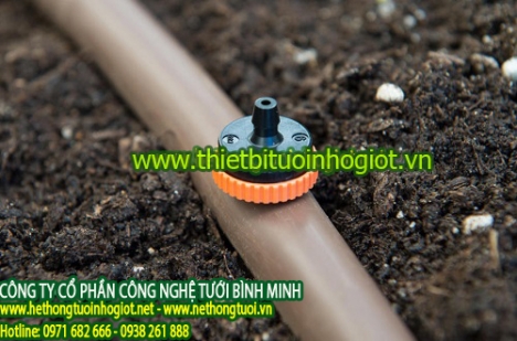 Cách lắp đặt hệ thống tưới nhỏ giọt theo luống, lắp đặt hệ thống tưới nhỏ giọt,tự làm hệ thống tưới