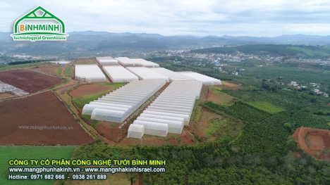 Màng nhà kính Politiv Israel , nhà kính bình minh, lưới chắn côn trùng  bình minh, nhà lưới bình min