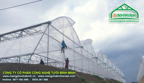Hệ thống tưới nhỏ giọt,giá bán hệ thống tưới nhỏ giọt, nhỏ giọt bù áp, nhỏ giọt 8 tia