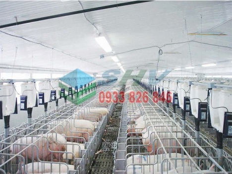 Tôn Panel Eps Làm Trại Chăn Nuôi