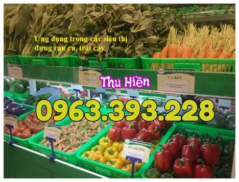 Sọt nhựa đựng trái cây, sọt nhựa cao 10cm, rổ nhựa công nghiệp